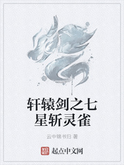 轩辕剑之七星斩灵雀