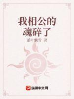 我相公的魂碎了