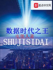 数据时代之王