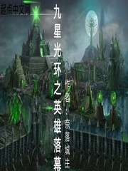 九星光环之英雄落幕