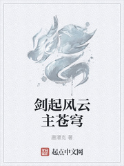 剑起风云主苍穹
