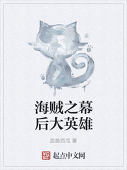 海贼之幕后大英雄