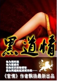 官场的诱惑：黑道情