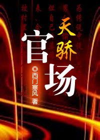 当官要会钻空子：官场天骄