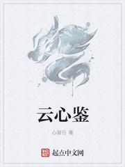 云心鉴