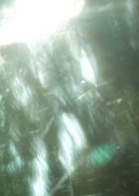 疼痛免疫（兄妹）