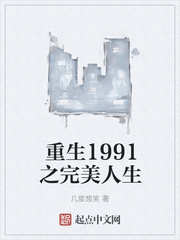重生1991之完美人生