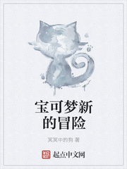 宝可梦新的冒险