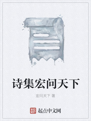 诗集宏问天下