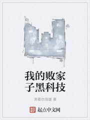 我的败家子黑科技