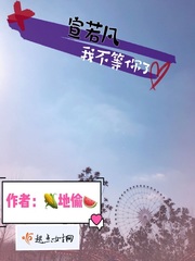 宣若凡，我不等你了