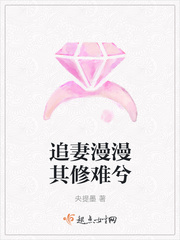 追妻漫漫其修难兮