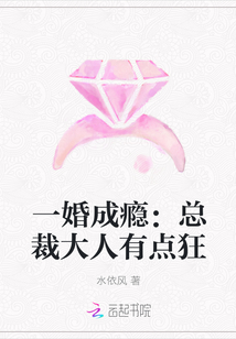 一婚成瘾：总裁大人有点狂