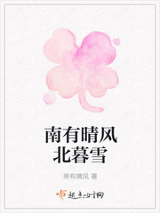 南有晴风北暮雪