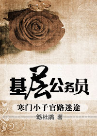寒门小子官路迷途：基层公务员