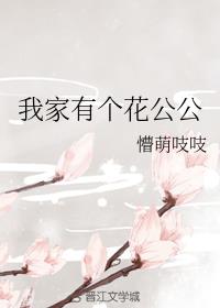 我家有个花公公